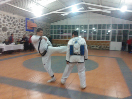 Galeria